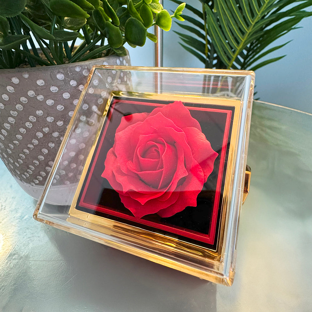 Love Knot - Rotating Rose Gift Box - 18K Yellow Gold Finish